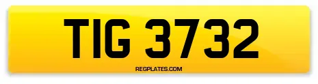 TIG 3732