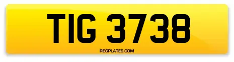 TIG 3738