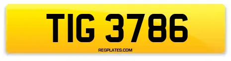 TIG 3786