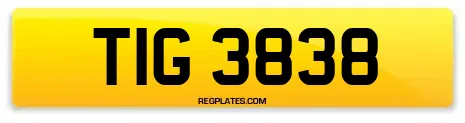 TIG 3838