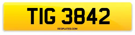 TIG 3842