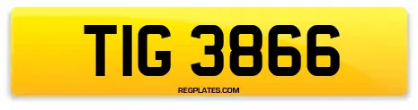 TIG 3866