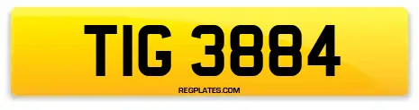 TIG 3884