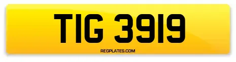 TIG 3919