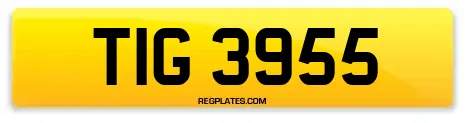 TIG 3955
