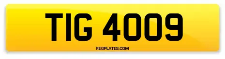 TIG 4009