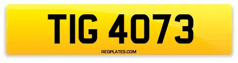 TIG 4073