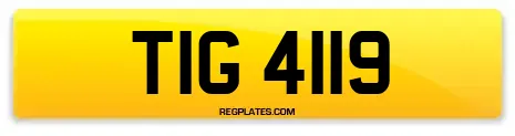 TIG 4119
