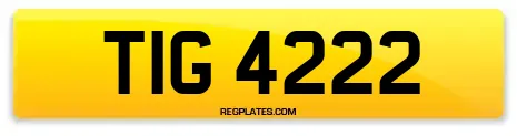 TIG 4222