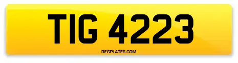 TIG 4223