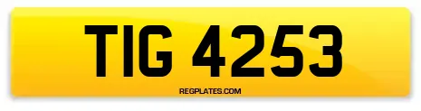 TIG 4253