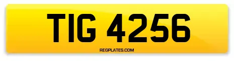 TIG 4256