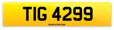 TIG 4299