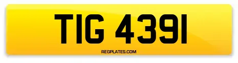 TIG 4391