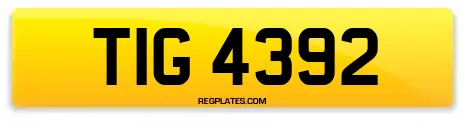 TIG 4392