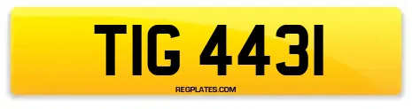 TIG 4431