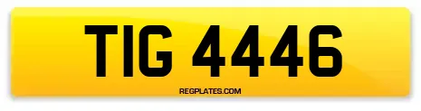 TIG 4446