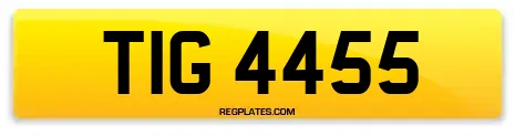 TIG 4455