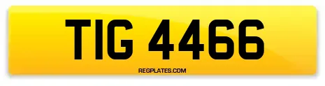 TIG 4466