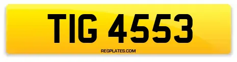 TIG 4553