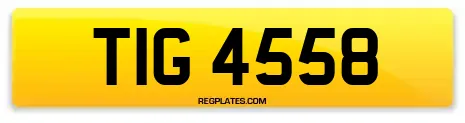 TIG 4558