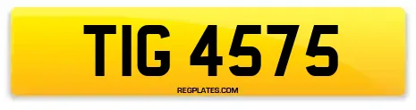TIG 4575