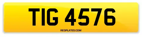 TIG 4576