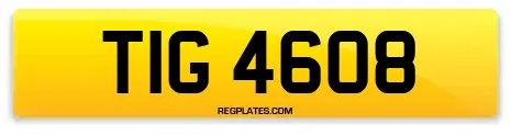 TIG 4608