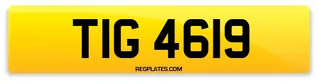 TIG 4619
