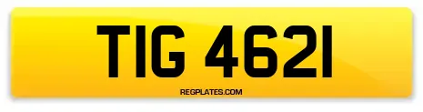 TIG 4621