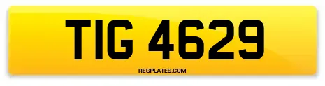 TIG 4629