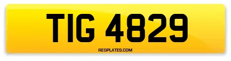 TIG 4829