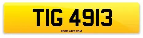 TIG 4913