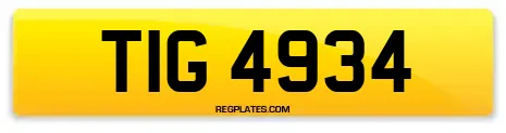 TIG 4934