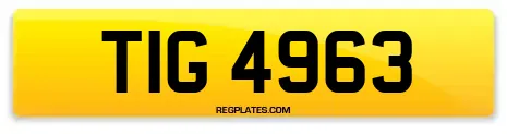 TIG 4963