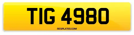 TIG 4980