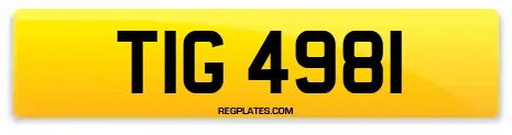 TIG 4981