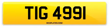TIG 4991