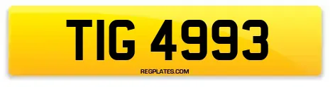 TIG 4993