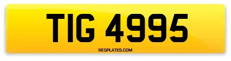 TIG 4995