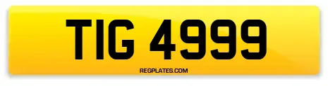 TIG 4999