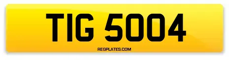 TIG 5004