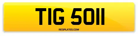 TIG 5011