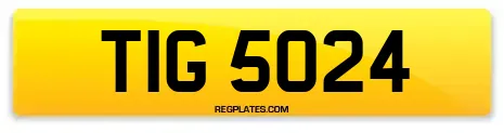 TIG 5024