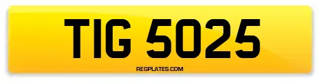 TIG 5025