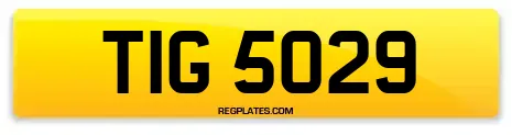 TIG 5029
