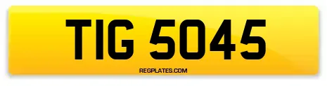 TIG 5045