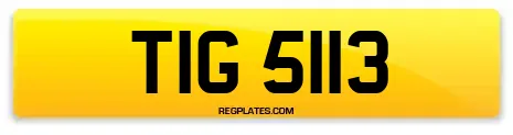 TIG 5113