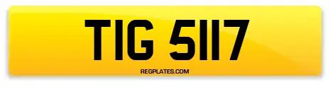 TIG 5117