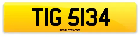 TIG 5134
